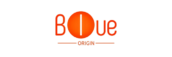 blueorigin.in